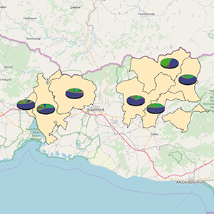 "The Healthy Municipality" Project Maps